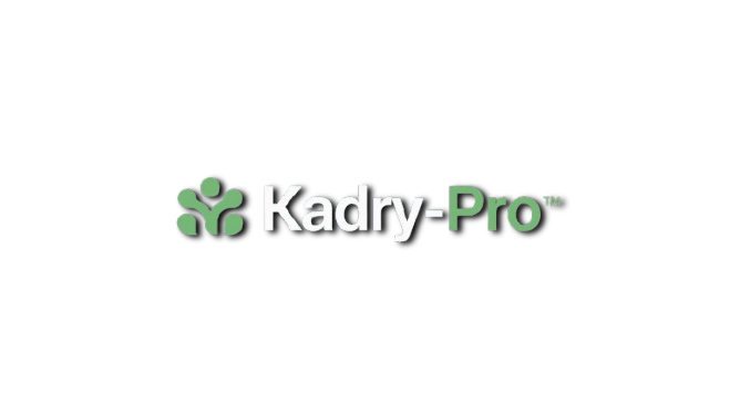 Kadry-Pro — кадровый аутсорсинг